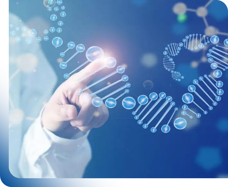 Functional peptides - short protein chains with high bioactivity, biocompatibility, and stability, offering promising applications in drug development, food, and biomaterials.